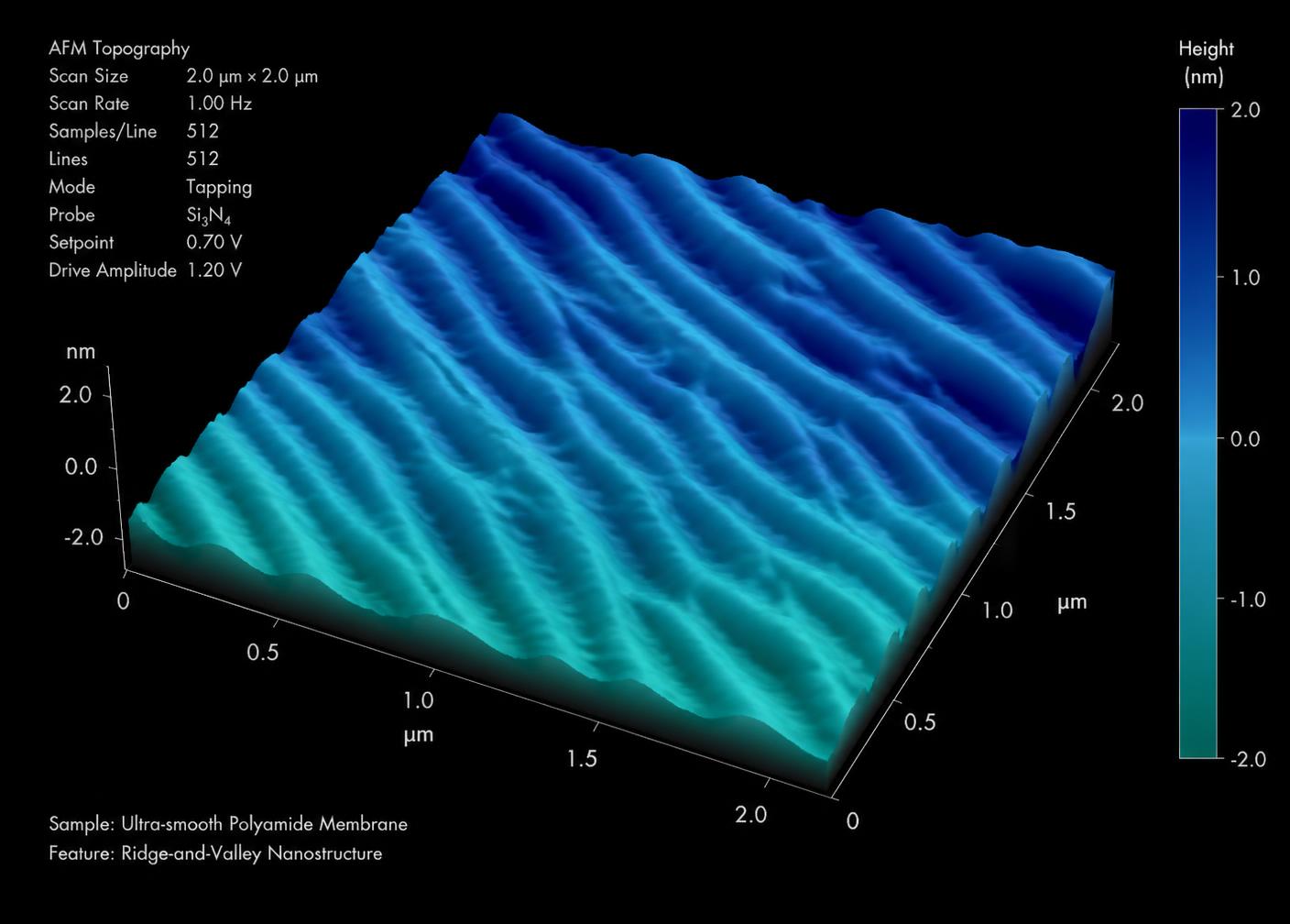 Surface topography map of the engineered polyamide selective layer